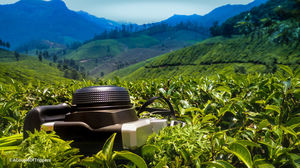 Want to avoid the weekend rush in Munnar? Here is your unheard quaint little escape.