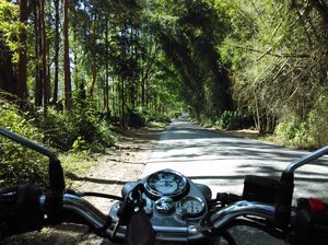 Through the lesser known South, on a Bike