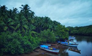 Goa is More than Beaches