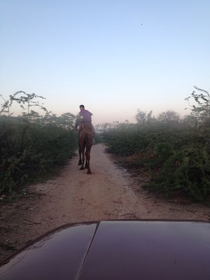 For Weekenders - Lake nested within ARAVALI HILLS Bhardwaj Lake