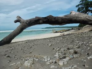 Neil Island: Back To Basics