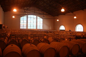 Making the most of Mendoza, Argentina.