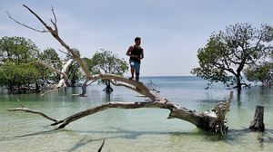 Going Offbeat in Havelock Island - Andaman, India