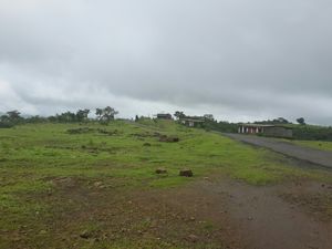 Untouched beauty of Madhe Ghat