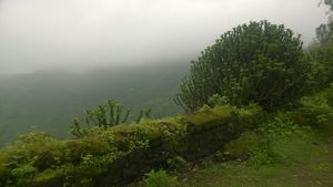 Trekking in clouds - Purandar Fort