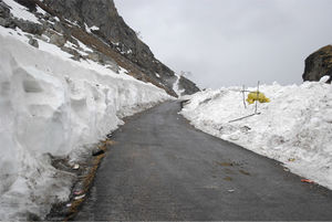 Discover Leh via Rohtang La on wheels