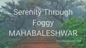 Serenity Through Foggy Mahabaleshwar