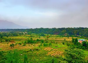 A Day Date With Himachal's Blue-Eyed Tea Capital - Palampur