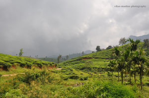 Wayanad- The Land of Collective Beauty in Kerala