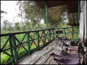 Kutta - The Hidden Gem of Coorg !!!
