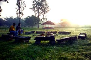 Veerappan's Trails