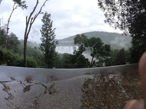 Rainforest - A resort with a water fall view