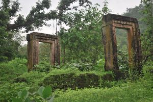 Polo Forest 1/2 by Tripoto