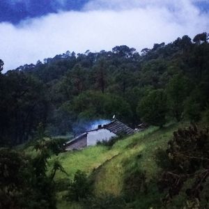 Exploring Binsaar Wildlife Bird Sanctuary