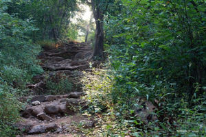 Karnala Bird Sanctuary 1/2 by Tripoto