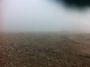 Wandering in the Wild Part I - Jim Corbett