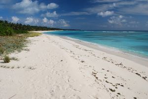 Kadmat Beach Resort 1/1 by Tripoto