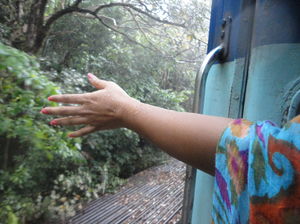 The tale of two girls in Goa