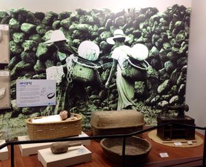 Jeju Haenyeo Museum 1/1 by Tripoto