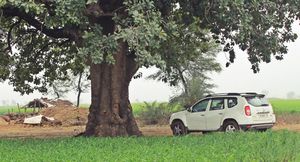 Into the wild: Madhya Pradesh (Aron)