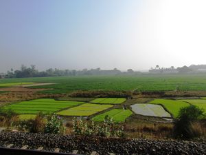 A visit to a Saturday market in Sonajhuri, Shantiniketan