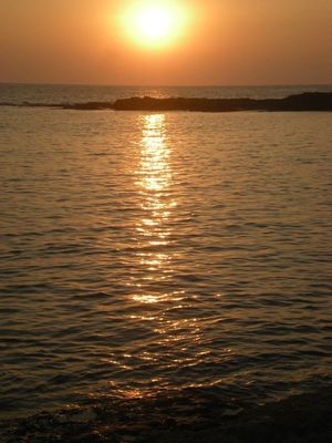 Gorgeous Gokarna