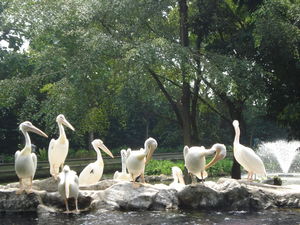 Singapore Sojourn