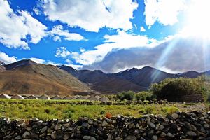 Ladakh Diaries - JULLEY