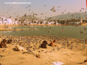 Rajasthan Road Trip - 4 travelers, 8 places of Int