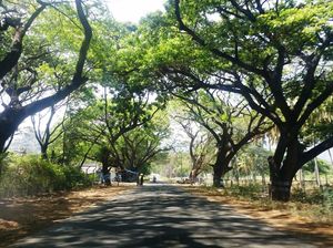 Unplanned Road Trip to Udumalpet and Palani