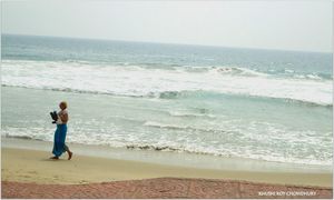 Vivacious Kovalam - Kerela Trip Destination 3