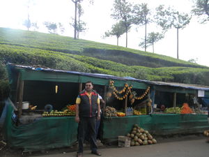 Unrivaled Munnar - Kerala Destination 1