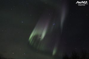 I Saw The Northern Lights Before It Became Cool