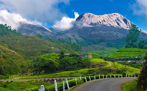 7 Ways To Make The Most Of Your Kerala Trip