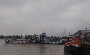 Sundarbans – Where the wild rumpus is!