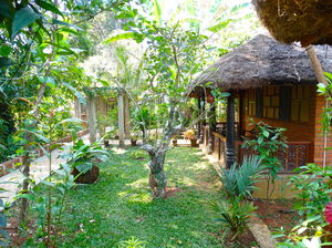 The Amazon of India