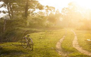 Honey pack your bags, we are going to Majuli!