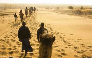 A date in the Thar Desert with Shahrukh