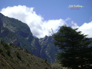 Road trip to the Niti Village in Uttarakhand