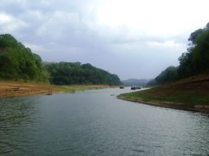 Venturing through the Serenity in Periyar Wildlife Reserve, Kerala