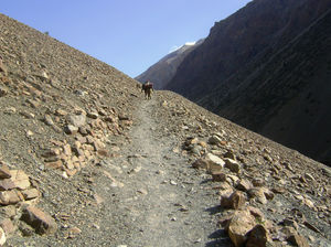 The Himalyan Wonders: My Journey through the Mystical Sumna Valleys