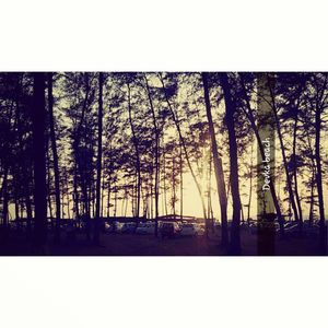 A quick getaway- Daman