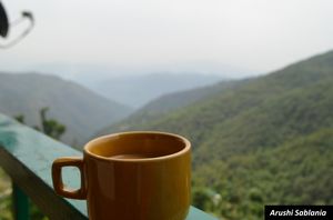 My First solo trip: Chail- A place for Inspiration and Introspection