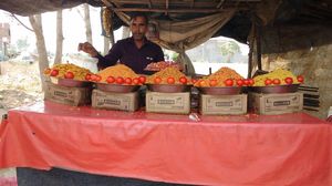 A Day well spent in Agra