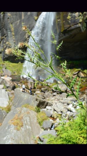 Unforgettable Himachal – 1