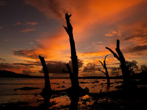 Amazing Andamans in 12 days!