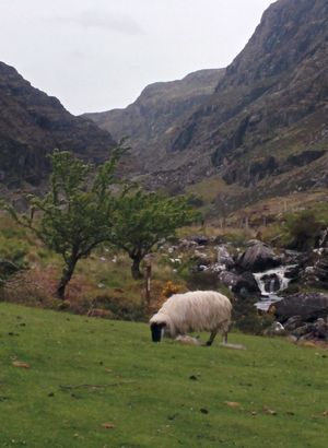 This is Ireland