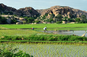 Mystical Hampi