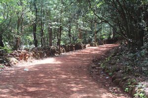 Matheran: Where nobody honks!