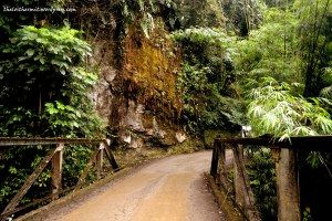 Sikkim Diaries-I The Road North